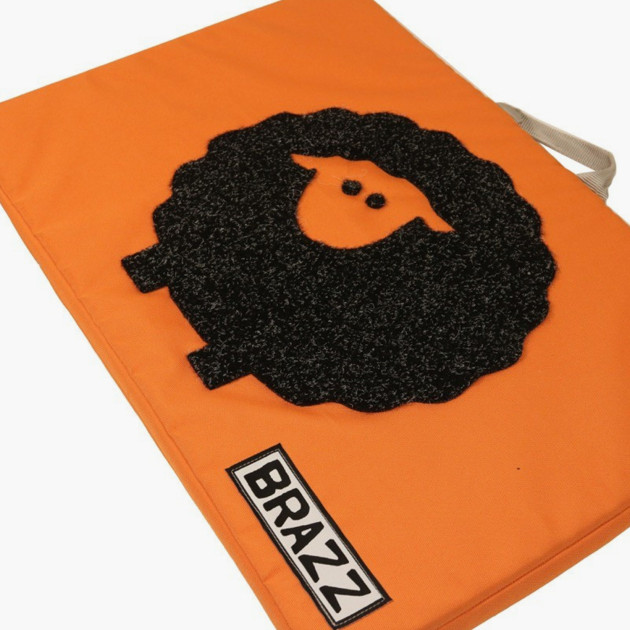 Dolly - Bouldering Sit Starter Crashpad | Brazz