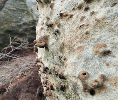 "Inghilterra: Northumberland e Sandstone" | Matteo Arnodo