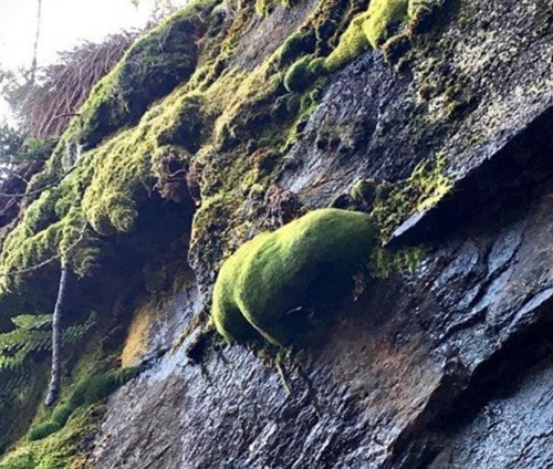 Prese mojado | Matteo Arnodo